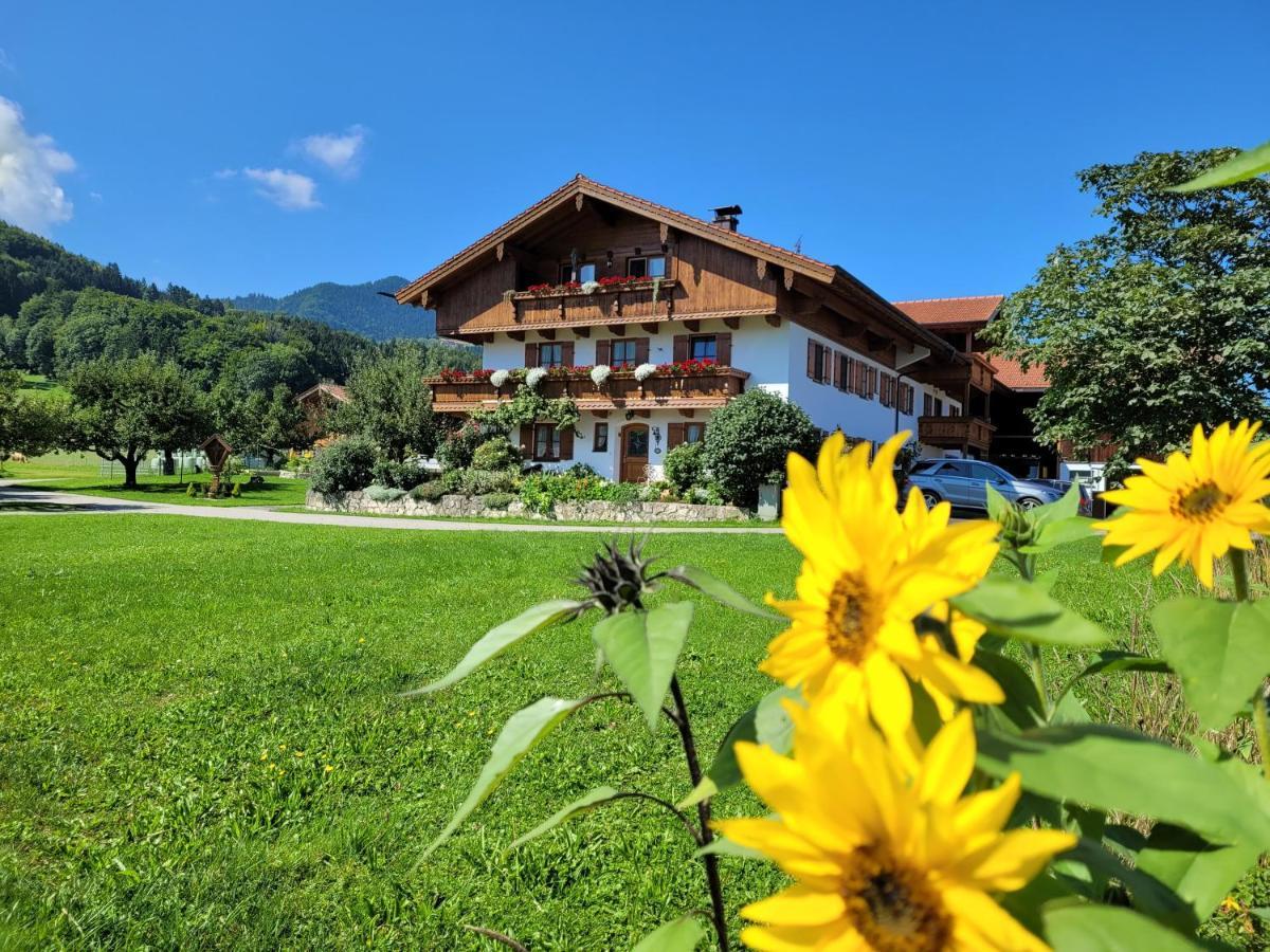 Hoderhof Apartman Grassau  Kültér fotó