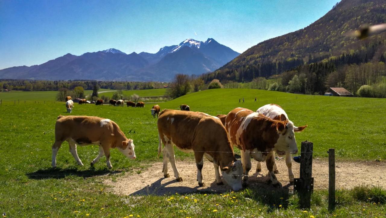 Hoderhof Apartman Grassau  Kültér fotó