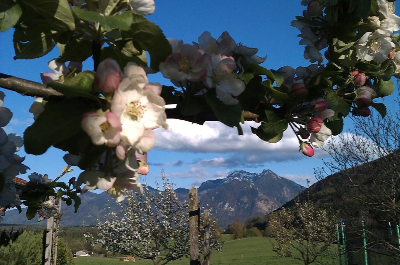 Hoderhof Apartman Grassau  Kültér fotó
